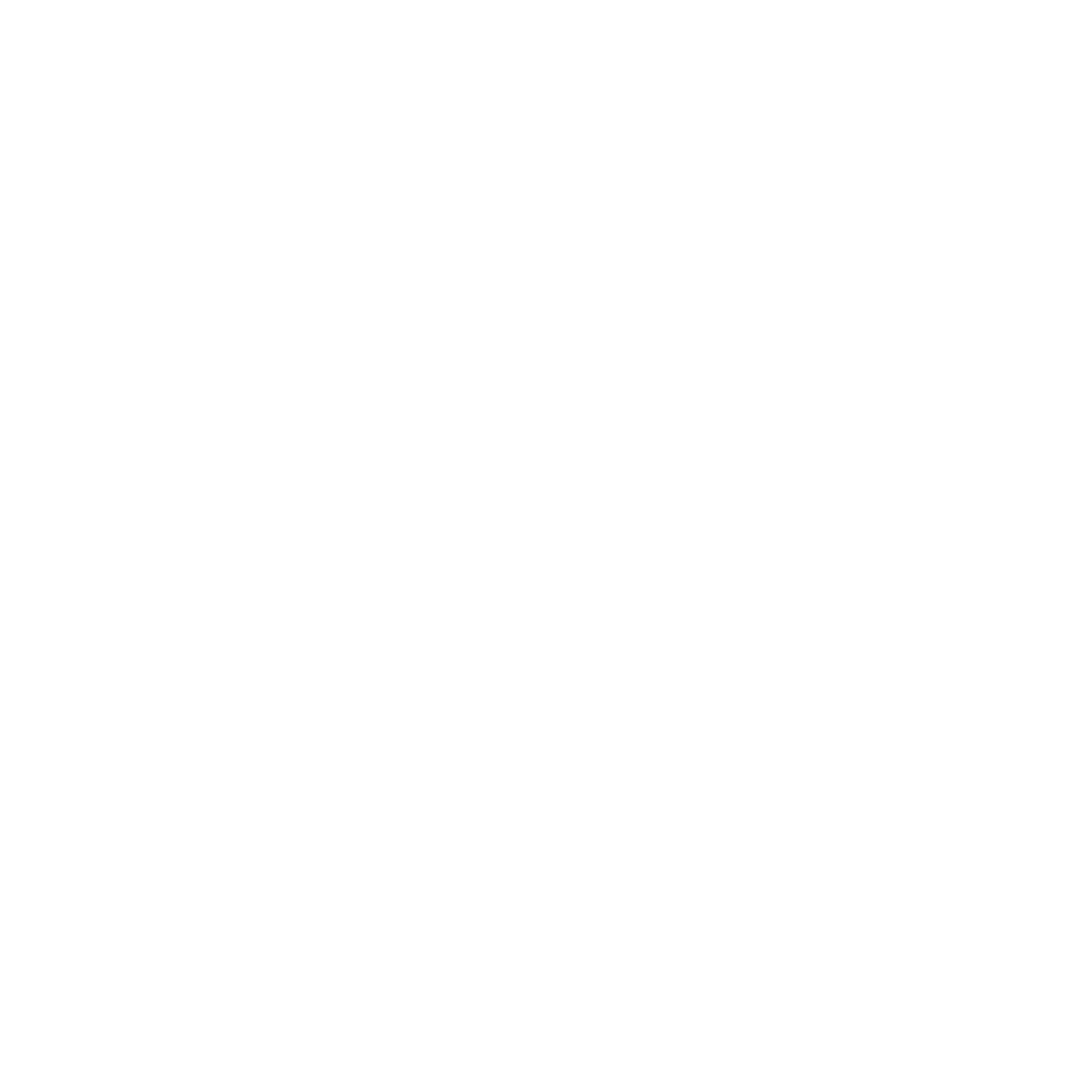 Logo Plume Taches d'encre Blanc